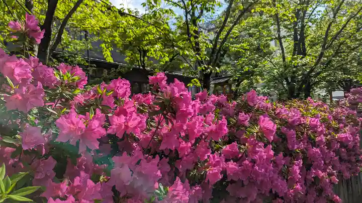 安井金比羅宮(京都府)