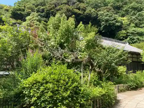 黄梅院（円覚寺塔頭）(神奈川県)