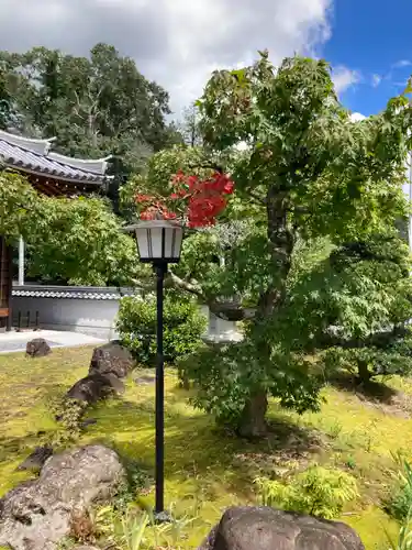 朝光寺の庭園