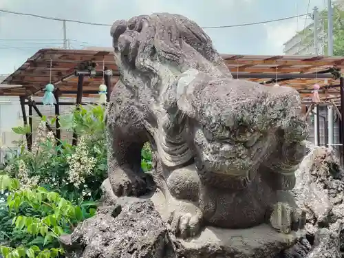 菊田神社の狛犬