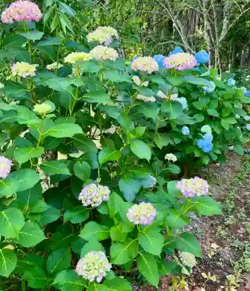 櫻宮神社(静岡県)