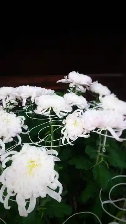 尾張大國霊神社(国府宮)の自然