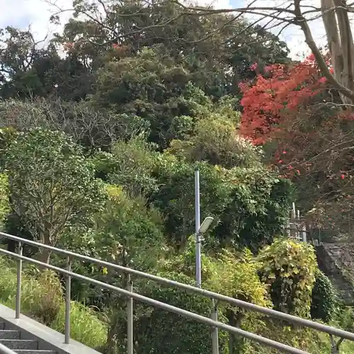 来迎寺（西御門）の庭園