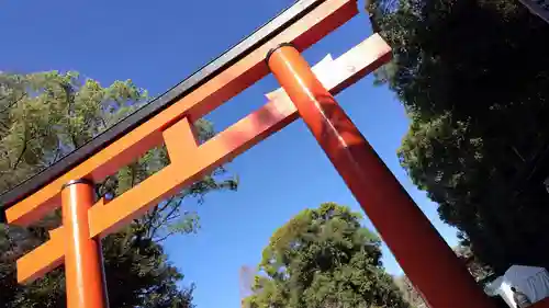 賀茂御祖神社（下鴨神社）(京都府)