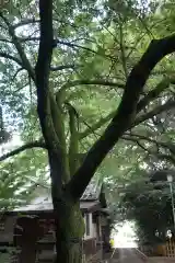 ときわ台天祖神社(東京都)