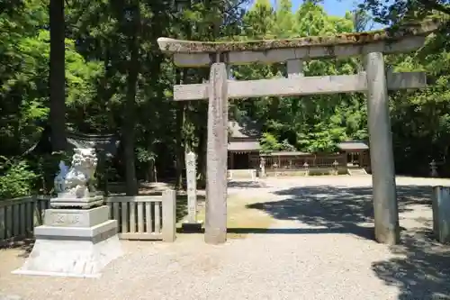 多賀大社の鳥居