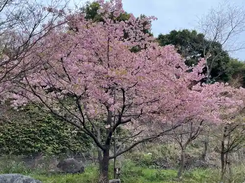 橿森神社(岐阜県)
