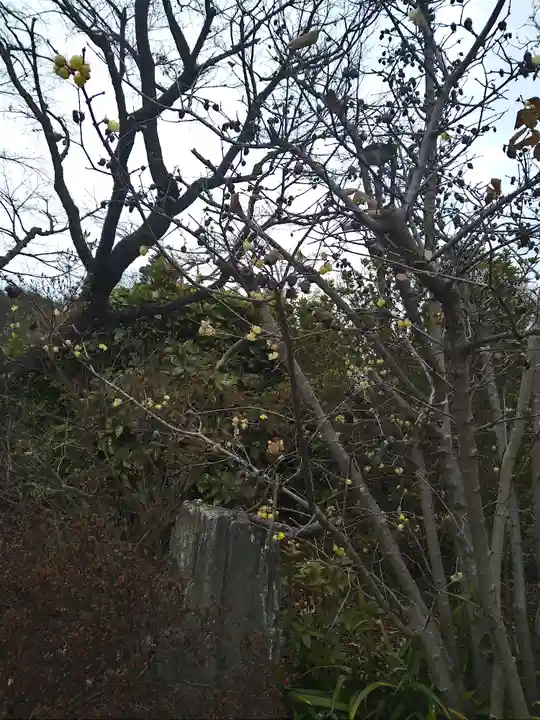 貫井神社(東京都)