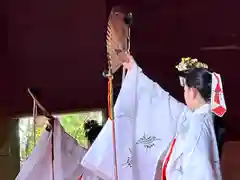 皇大神社(真田御屋敷跡)の神楽