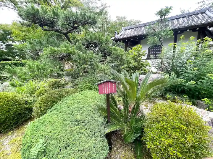 聞証坊(滋賀県)