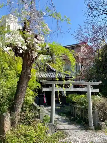 天性寺の鳥居