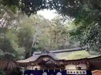 狭井坐大神荒魂神社(狭井神社)の{uncategorized: "未分類", other: "その他", undefined: "問題あり", building: "その他建物", grave: "お墓", sacred_gate: "鳥居", guardian: "狛犬", statue: "像", buddha: "仏像", history: "歴史", nature: "自然", garden: "庭園", animal: "動物", pagoda: "塔", temizu: "手水舎", mountain_gate: "山門・神門", sanctuary: "本殿・本堂", subordinate: "末社・摂社", art: "芸術", scenery: "景色", jizo: "地蔵", ema: "絵馬", goshuin: "御朱印", omikuji: "おみくじ", items: "授与品その他", amulet: "お守り", goshuincho: "御朱印帳", eats: "食事", festival: "お祭り", votive_dance: "神楽", shichigosan: "七五三参", wedding: "結婚式", experience: "体験その他", initially: "初詣", around: "周辺", anti_infection: "感染症対策"}