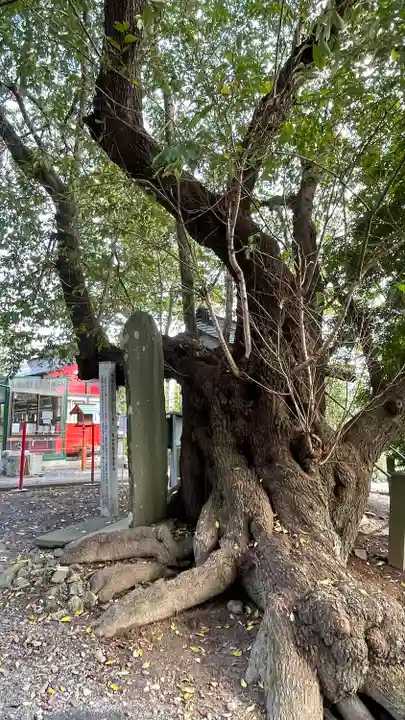 秈荷神社の自然