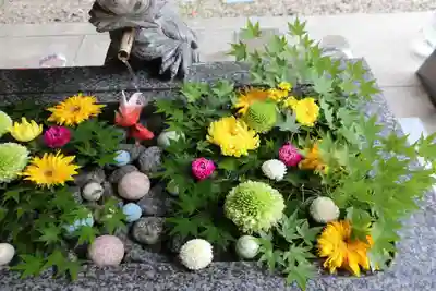 滑川神社 - 仕事と子どもの守り神の手水舎