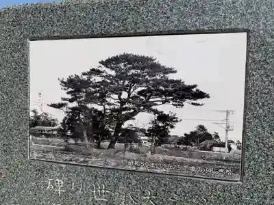 ふしぎ松稲荷大明神(千葉県)