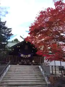 厚別神社(北海道)(2024年11月05日(火) 11時37分51秒投稿)
