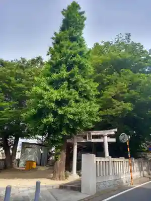 藤森稲荷神社(東京都)
