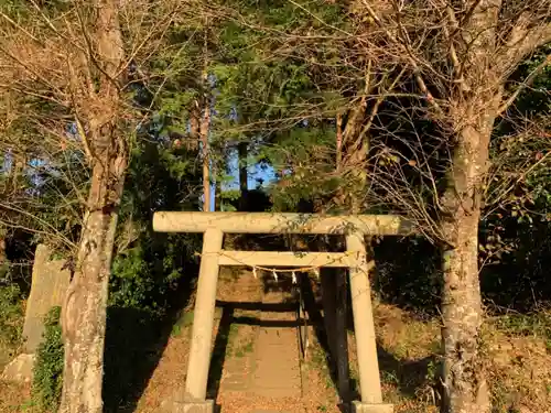 白山神社の鳥居