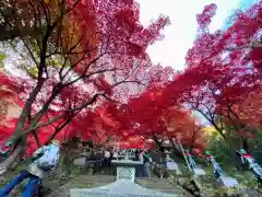 大山寺(神奈川県)