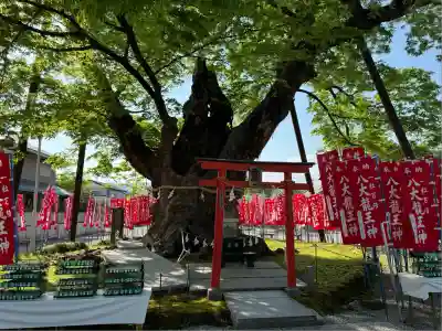 秩父今宮神社(埼玉県)