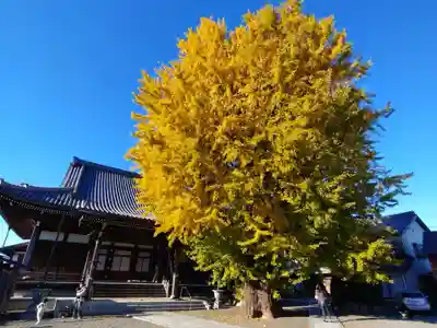 円通寺(三重県)