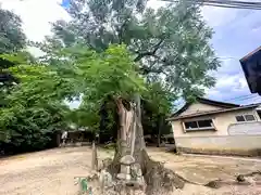 杵築神社(奈良県)