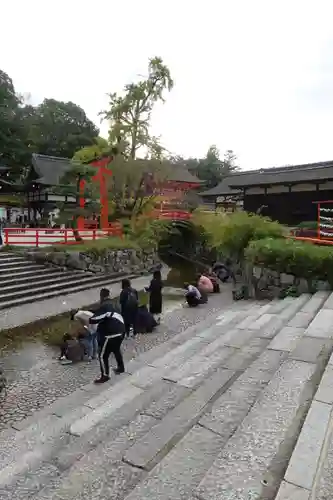 賀茂御祖神社（下鴨神社）の景色