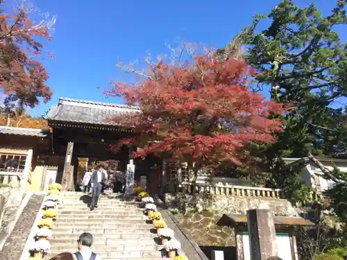 修禅寺の山門