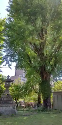 多奈波太神社(愛知県)