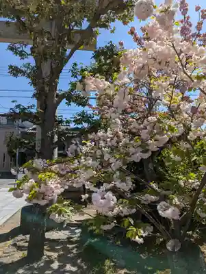 西院春日神社(京都府)