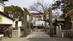 伊勢山皇大神宮の鳥居