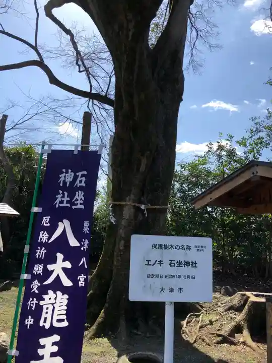 石坐神社の自然
