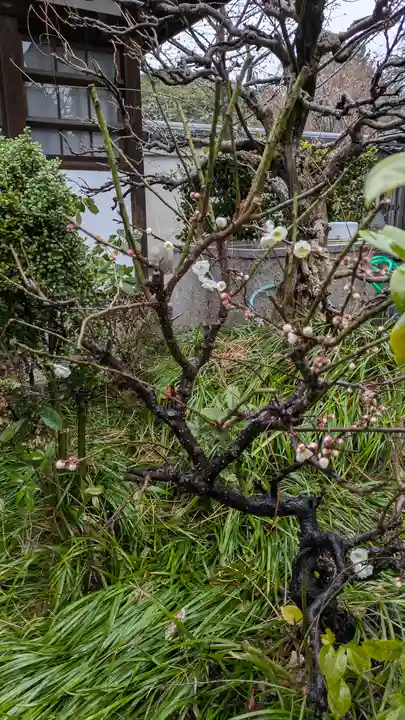 後白河院御聖蹟 法住寺(京都府)