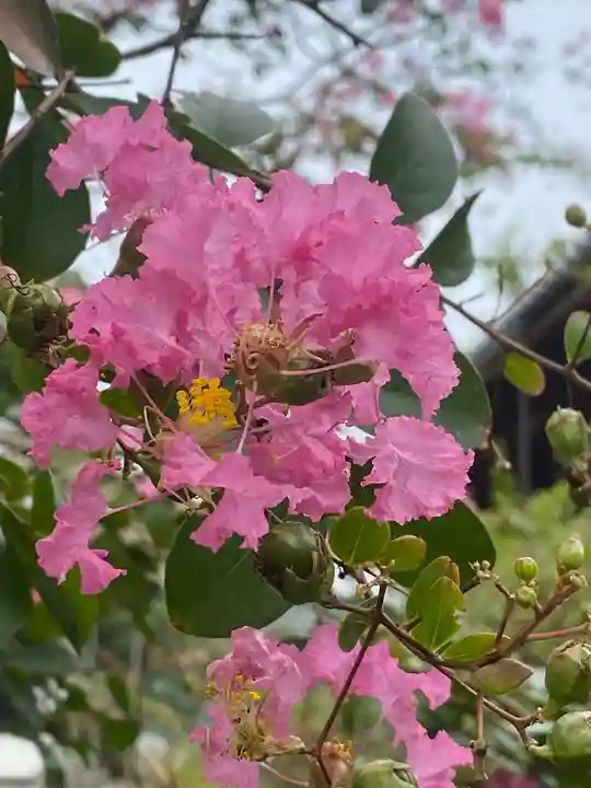 海龍王寺(奈良県)