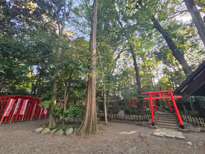 武蔵一宮氷川神社(埼玉県)