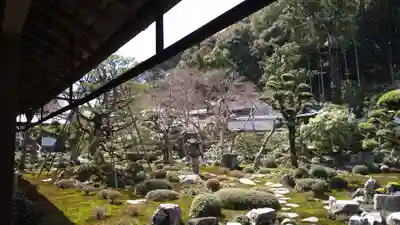 金剛寺(大阪府)