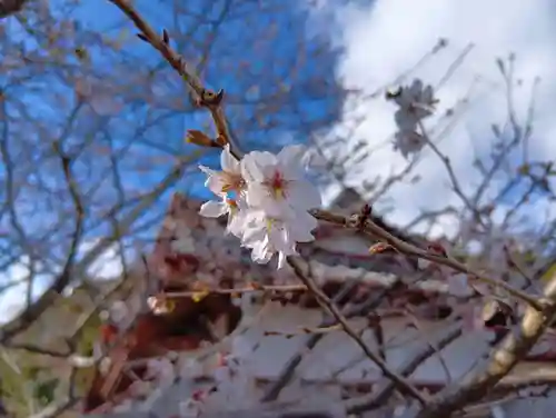 金蛇水神社(宮城県)