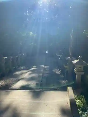 三峯神社(埼玉県)