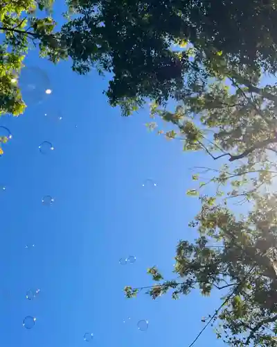 札幌諏訪神社の景色