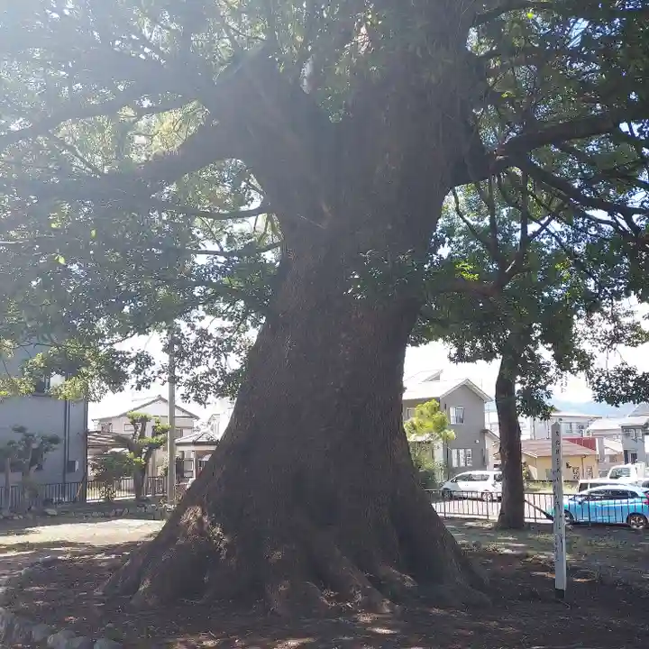 稲荷神社(村松原)(静岡県)