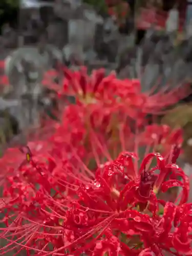 福寿院(東京都)
