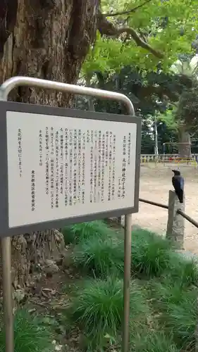 赤坂氷川神社の歴史
