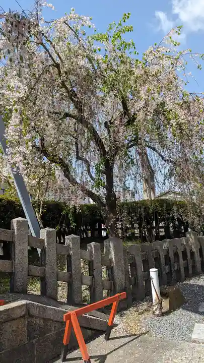 六孫王神社(京都府)