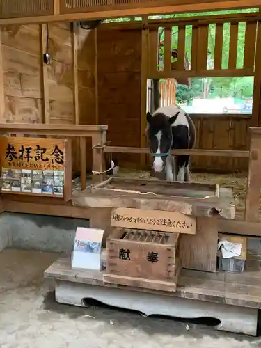 平塚八幡宮(神奈川県)