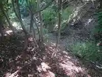 幸稲荷神社の自然