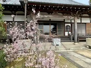 日蓮宗 本松寺の本殿・本堂
