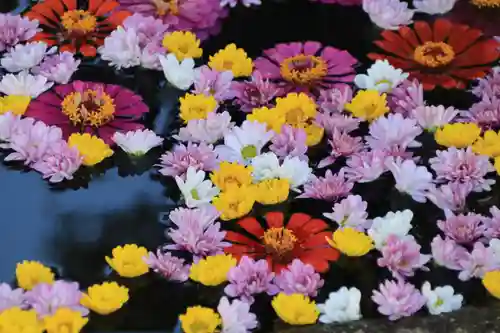 大鏑神社の手水舎