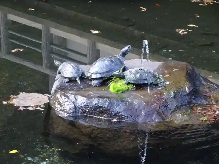 最乗寺(道了尊)の動物