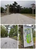 出雲大社(島根県)