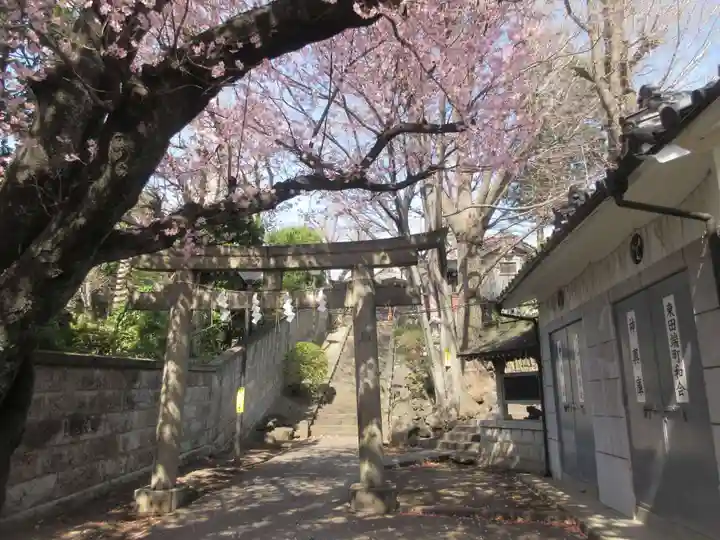 田端八幡神社(東京都)